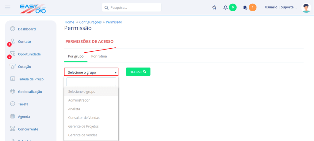 Na aba Por Grupo selecione o grupo desejado e clique para Filtrar