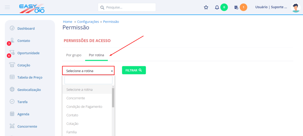 Na aba Por Rotina selecione a rotina e clique para filtrar