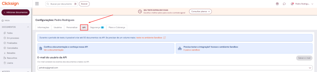 Selecione a aba API